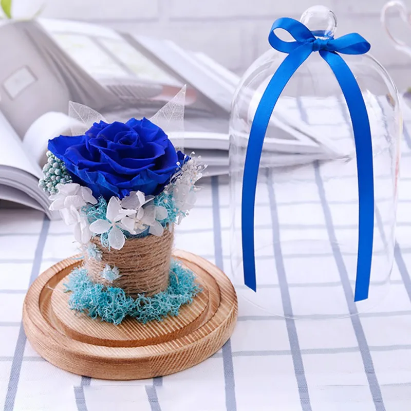 Beauty And The Beast Preserved, Everlasting Flower With Glass Cover Rose In Glass Dome,Mother's Day Gift Valentines Day Gift