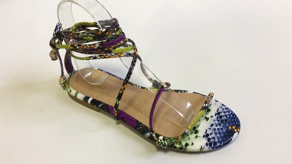 12825571764_1767743546