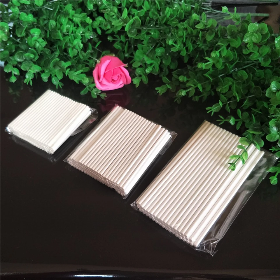 lollipop sticks (10)