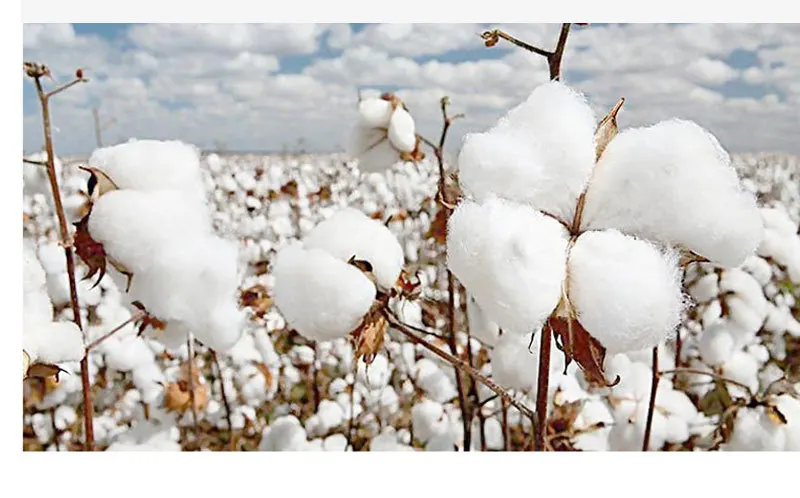 Boy lights upT_06.jpg