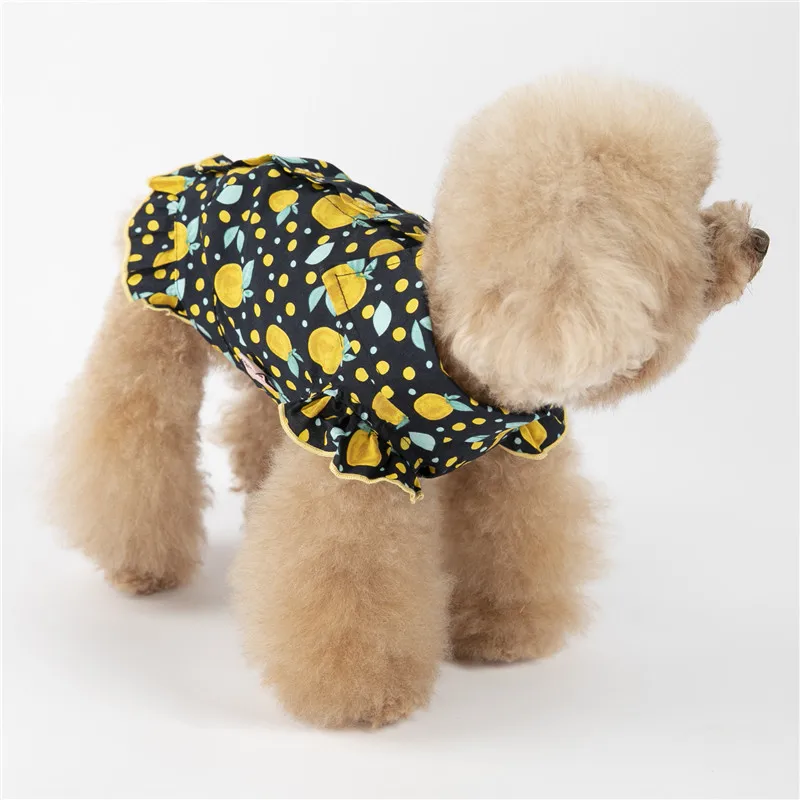 puppy dog shirt summer small dog (16)