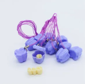 10pcs Purple 5 шт. пластиковая детская коробка для хранения зубов сохранить молоко зубы сбора зубов Органайзер мини зуб Коробка милый детский сувенир - Цвет: 10pcs Purple
