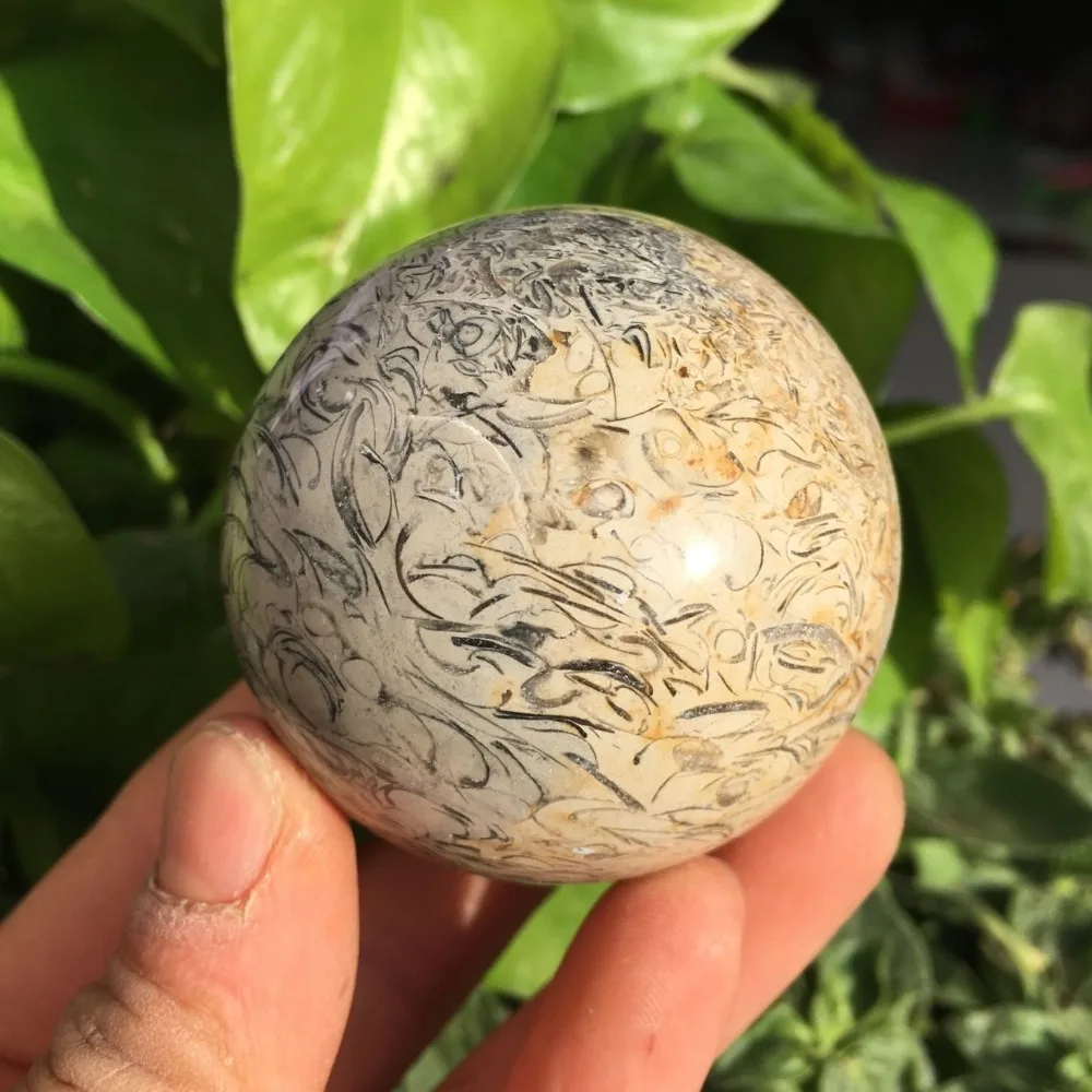 QQ图片20191231225556