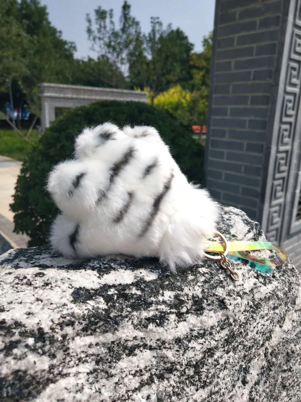 IMG_8547(20200828-151734)