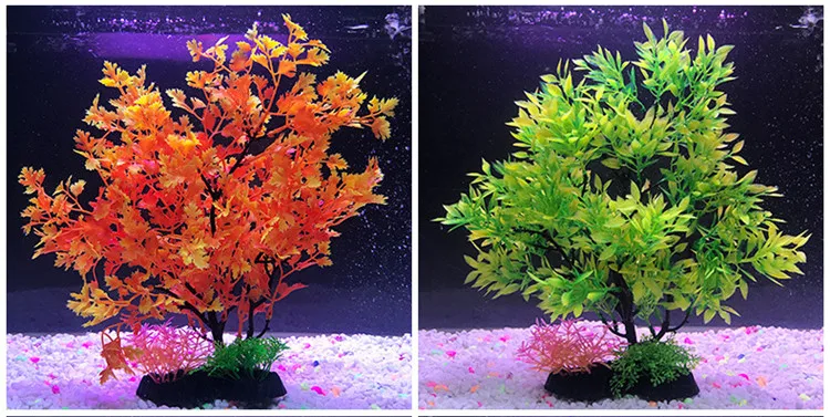 9183930048_281319014