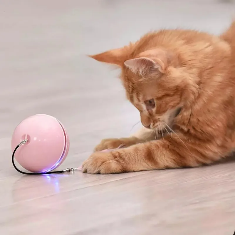 

Electric Pet Cat Dog Colorful LED Rolling Flash Ball With Bell Feather USB Rechargeable Pet Ball Toy