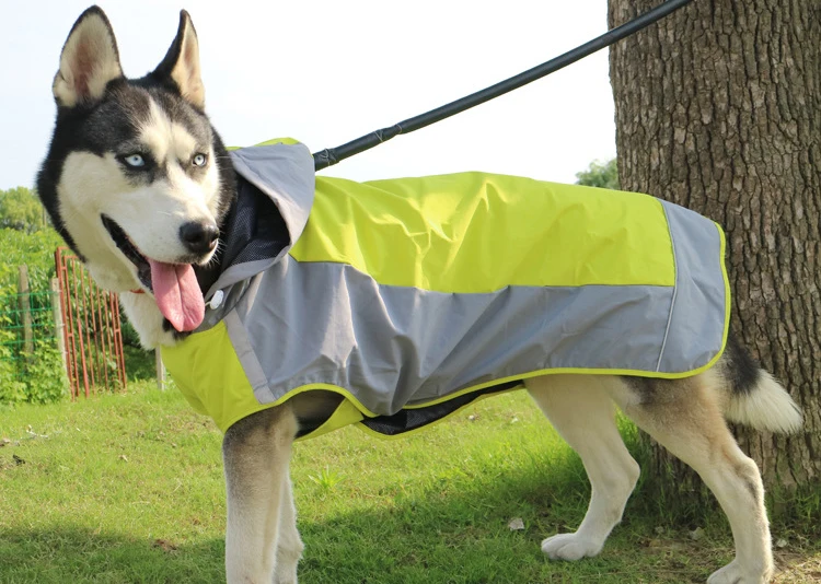 8973145146_1172365047