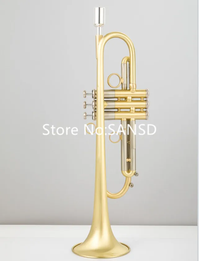 Bach Bb Trumpet Brass Plated Professional Musical Instruments Case