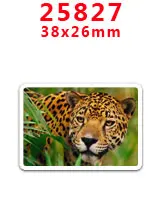 25827 30 шт. плоское украшение из смолы мультфильм смолы pr26240 - Color: 25827