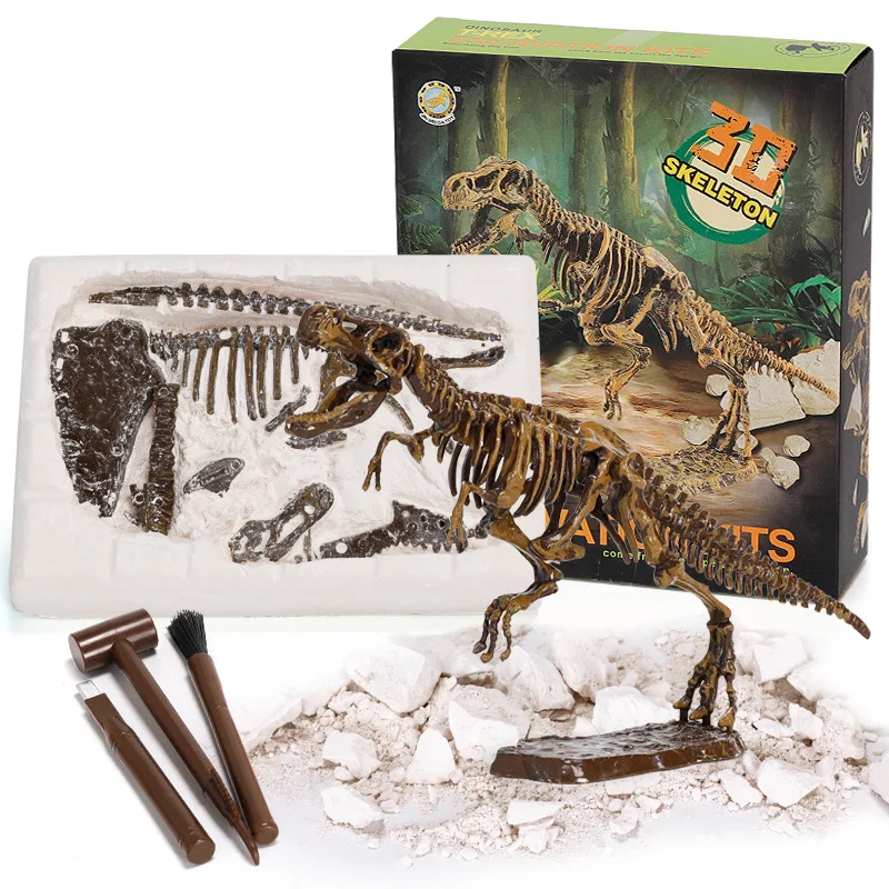 

Simulation Dinosaur Skeleton Fossil Archeological Excavation Toys Children Kids Learning Geological History Education Boys Girls