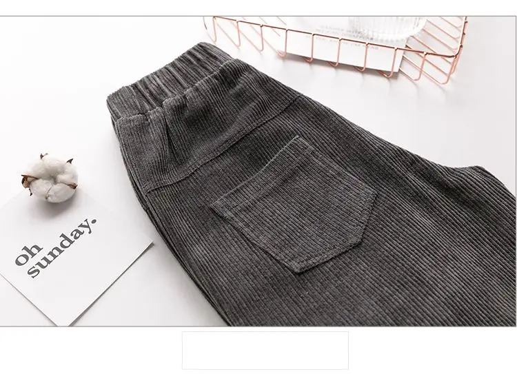 Новая Корейская версия женские вельветовые брюки Осень Зима повседневные штаны женские свободные тонкие хлопковые брюки