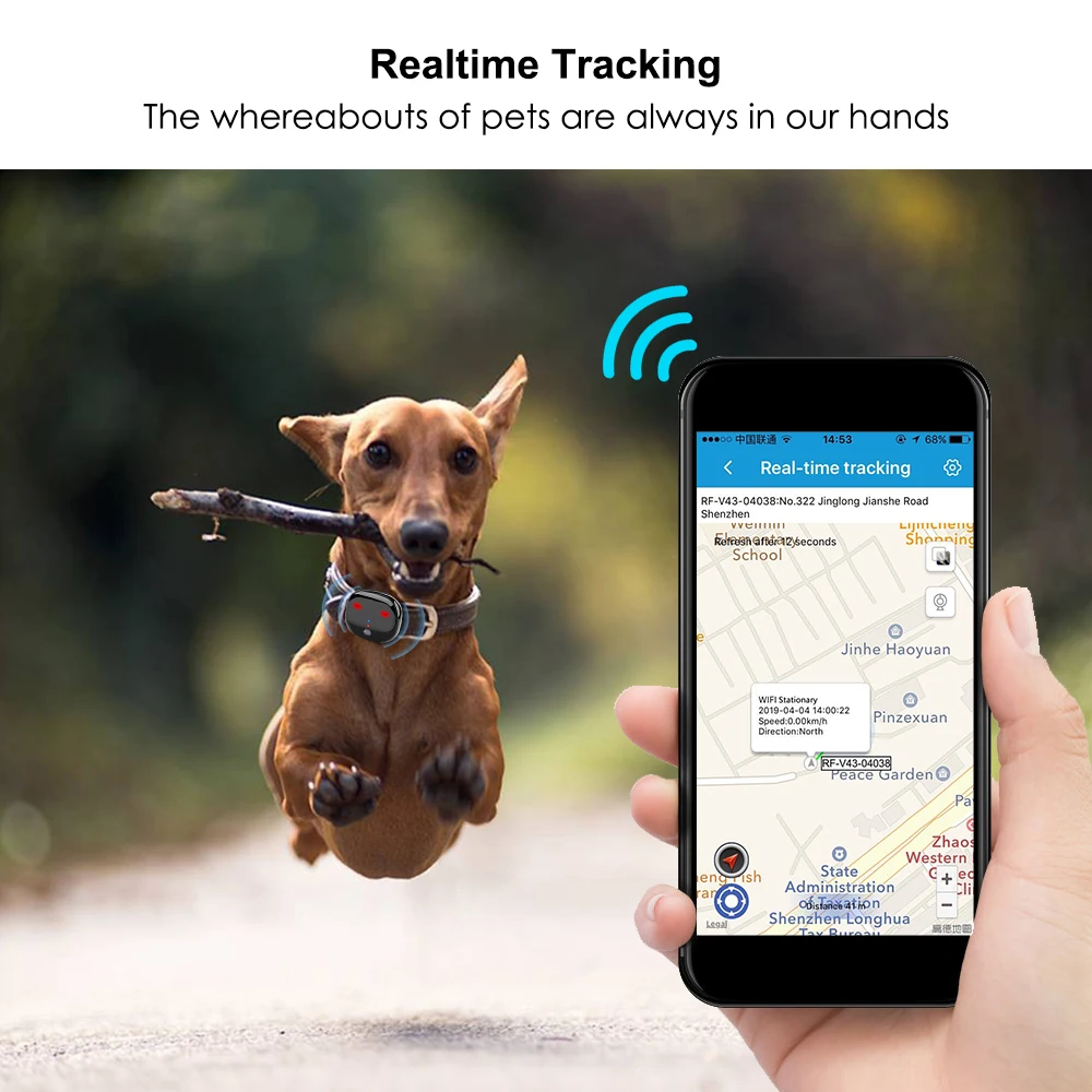 4G, gps трекер для собак, трекер для собак, водонепроницаемый, спортивный, шаг в реальном времени, WiFi, отслеживание голоса, трекер, gps для кошек, бесплатное приложение