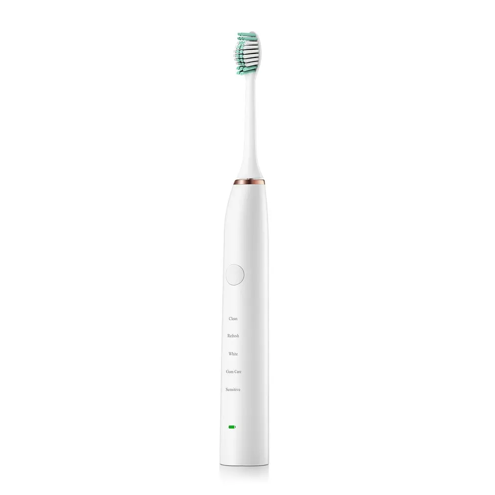 1 комплект D6 Ультразвуковая электрическая зубная щетка USB Зарядка перезаряжаемые водонепроницаемые зубные щетки с 2 шт. сменные головки