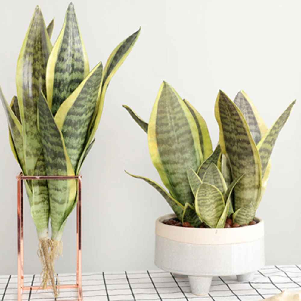Искусственная пустыня искусственное растение Sansevieria Trifasciata имитация суккулентов