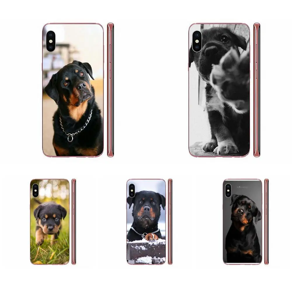 Rottweiler Rottie Rotty Dog Щенки для Samsung Galaxy J1 J3 J4 J5 J6 J7 A10 A20 A20E A3 A40 A5 A50 A7 2016 2017 2018 | Мобильные