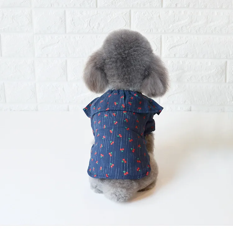 12167377565_1413936237