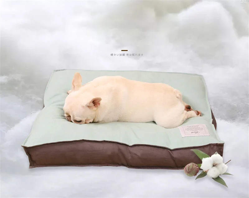 c3de0c9c62472cad4ef67a9c935ceb22_12016378721_216392463