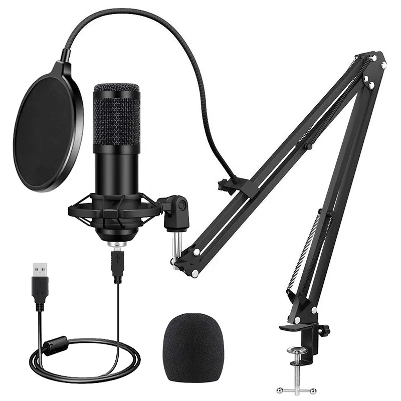 USB microphone sampling rate 192KHz/24Bit PC capacitance microphone BM800 cantilever bracket set wireless mic Microphones