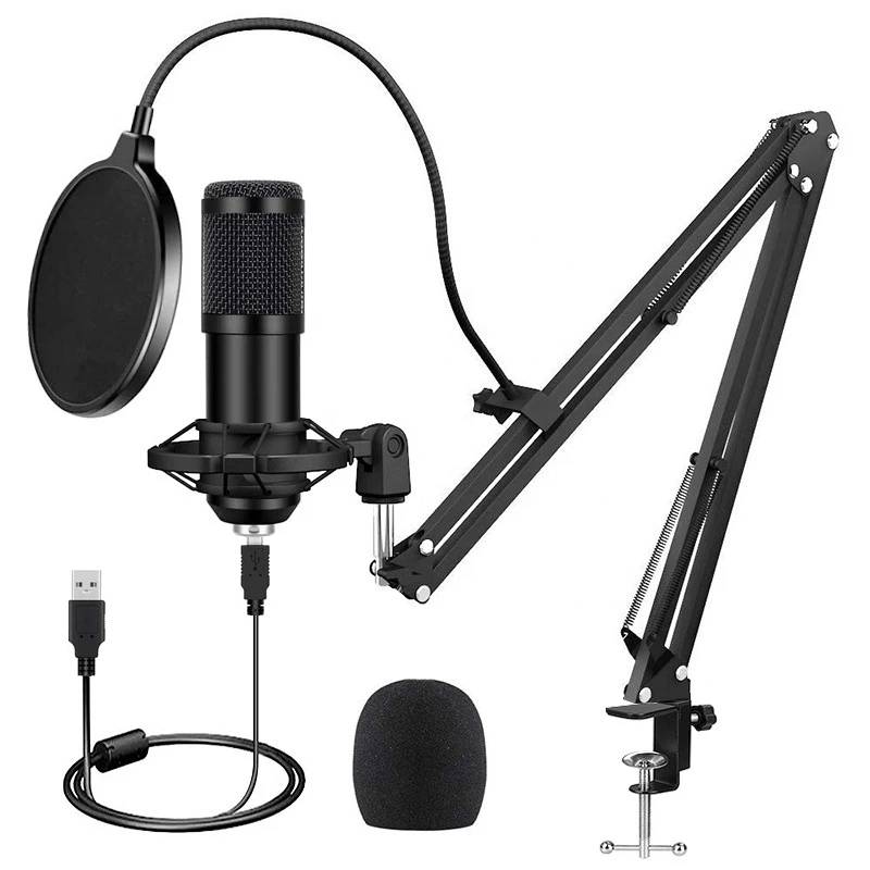 USB microphone sampling rate 192KHz/24Bit PC capacitance microphone BM800 cantilever bracket set wireless mic