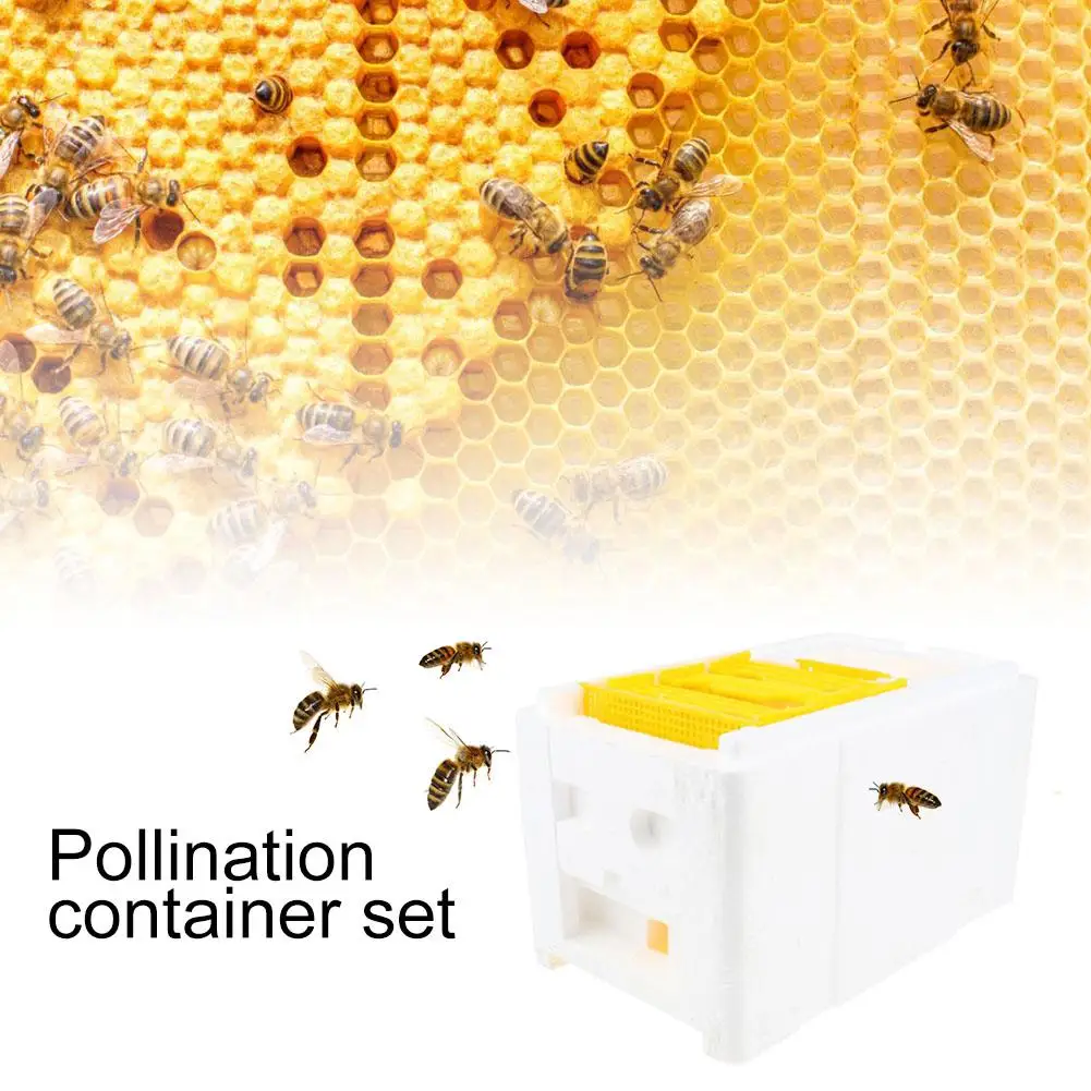 Beekeeping Supplies UK Queen Bee Marker für Imker Weiß 