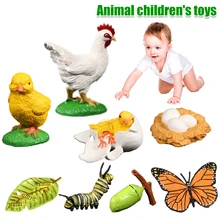 Simulatie Dieren Groei Cyclus Vlinder Kip Levenscyclus Figurine Résine Modellen D'action Poupée Kinderen Jouet Cycle de Croissance Jouets 
