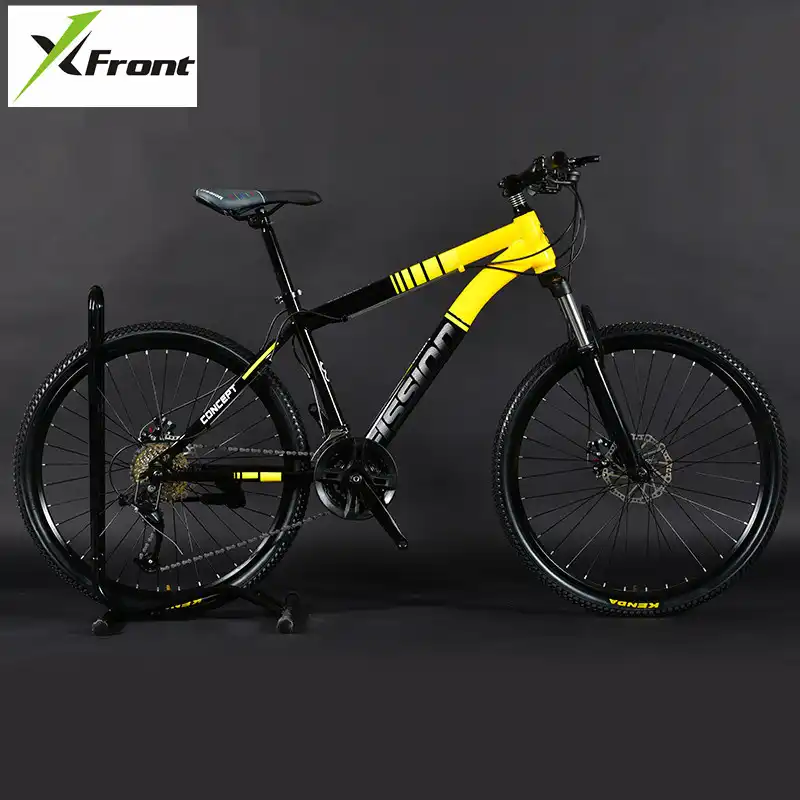 dual fork mountain bike