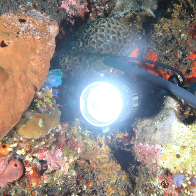 4204671127_1838403043