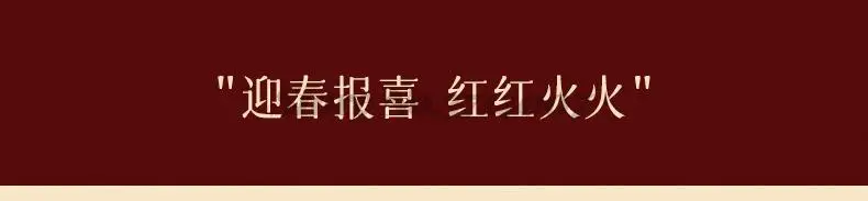 2022 Lunar New Year Stamp Sealing Seal Wax Fu Chun Chinese Traditional Elements Scrapbooking For Envelope Wedding Party