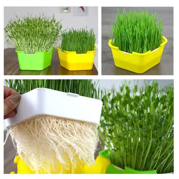 

Double-layer Pentagonal Plastic Hydroponic Flower Basket Flower Plant Sprouting Tray Box Sprout Seedling Tray Planting Box
