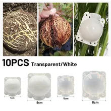 

10pcs Garden Grafting Box 5/8cm Plant Rooting Equipment High Pressure Propagation Ball Parkside Tree Roses Nursery Pots Planters