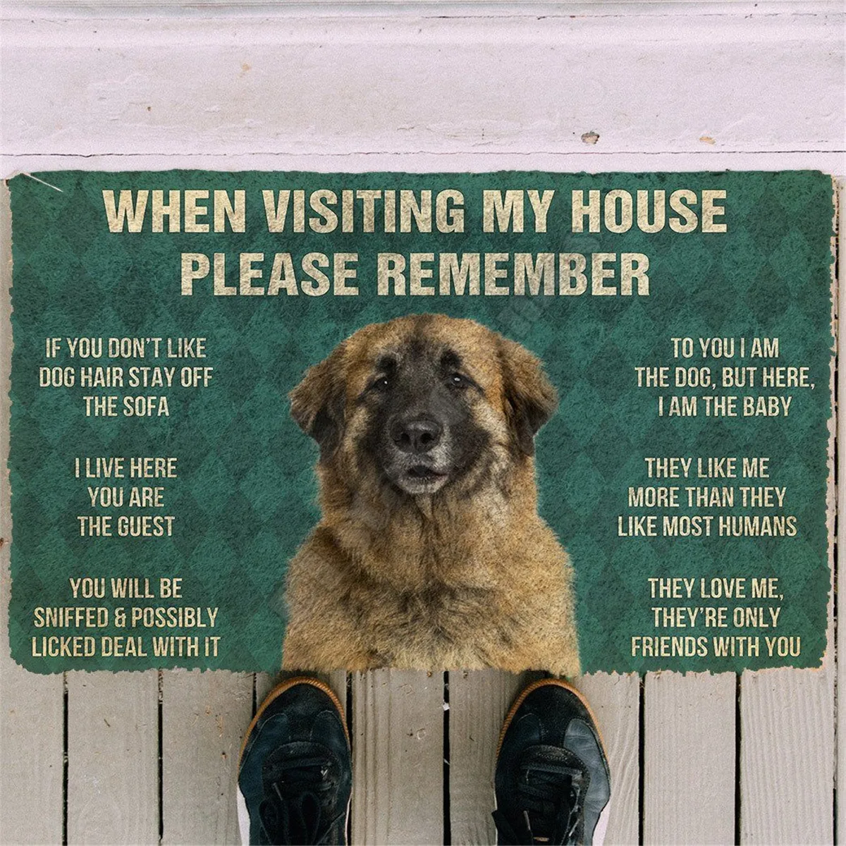 Dog Doormat – Sharkadoodle