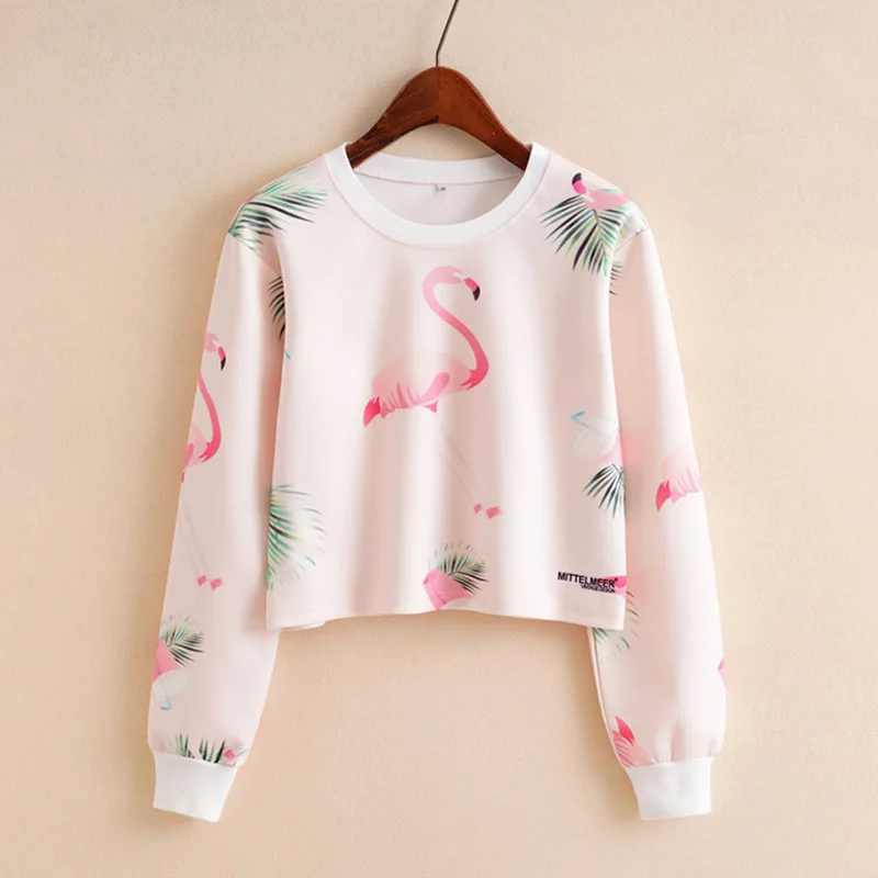 

Artguy Women Hoodies Sweatshirts Girls Long Sleeve Pink Kawaii Flamingo Printed Crop Top Short Blouse Pullover Hoodie Sweatshirt