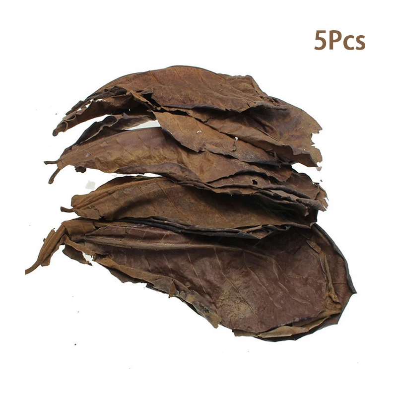 5/25/50pcs Natural Catappa Leaves Almond Leaf Fish Cleaning Treatment Aquarium Tank