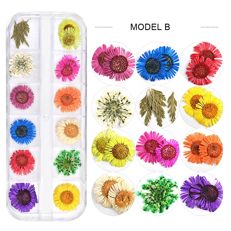 Новые сушеные цветы для девочек 12 цветов babysbreat SUN FLOWER украшения ногтей DRIEDFLOWERS