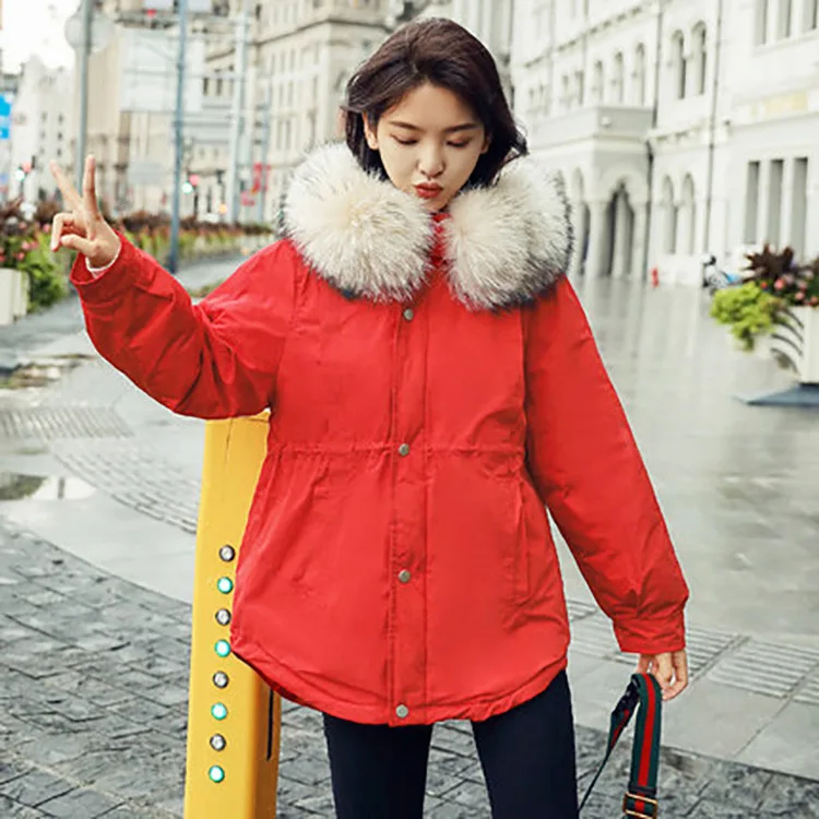 

Large Fur Collar Short Cotton-padded Clothes Women's Winter 2018 New Style Korean-style Students Loose-Fit Versatile Thick down