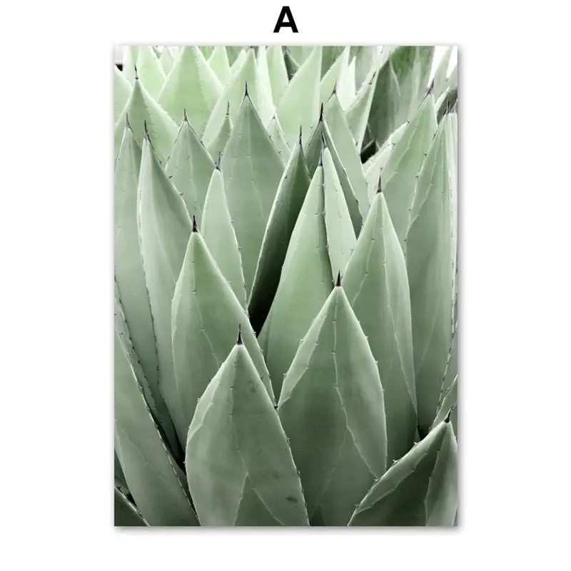 Wall-Art-Canvas-Painting-Cactus-Agave-Plant-Leaves-Abstract-Lines-Nordic-Posters-And-Prints-Wall-Pictures (3)