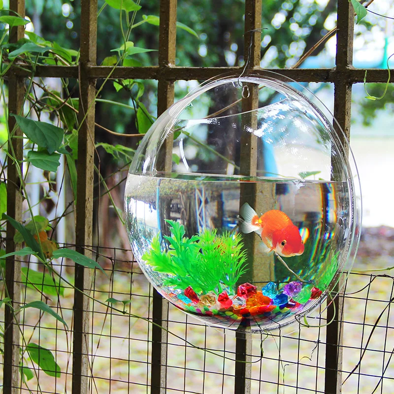 Pinsjar Acrylic Plexiglass Fish Bowl Wall Hanging Aquarium Tank Aquatic Pet  Products Wall Mount Fish Tank for Betta fish