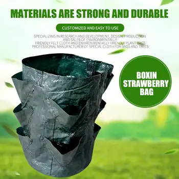 

Multi-Port Container Bag 3 Gallons Plastic Strawberry Planting Bag Vegetable Moisturizing Breathable Balcony Creative