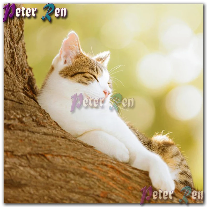 

5d animal Diamond Painting Embroidery A lazy cat is sleeping DIY Square or round Mosaic Cross stitch Rhinestone Home Decoration