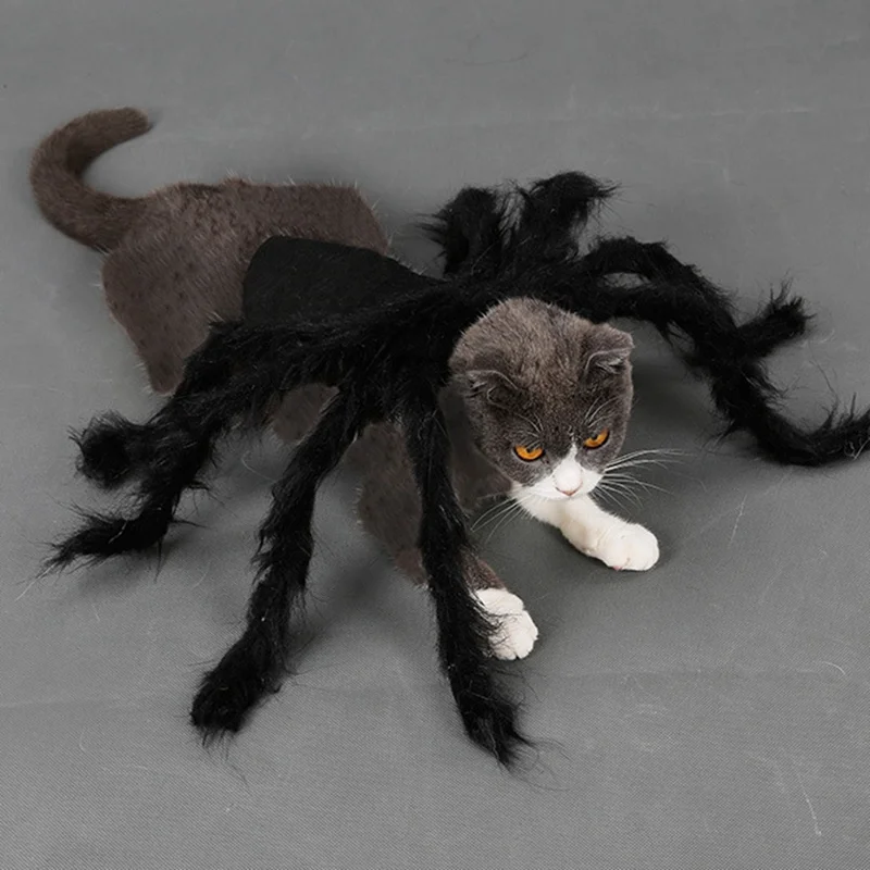 Костюмы для хеллоуина с кошкой для маленьких собак, одежда с пауком, длинные меховые ножки, Забавный костюм для кошки Чихуахуа Йорк