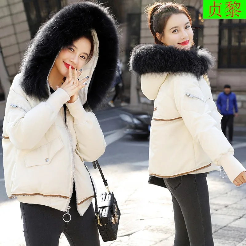 

Cotton Coat Women's Short 2018 New Style Winter Loose-Fit down Coat Short-height INS down Feather Cotton-padded Clothes Cotton-p