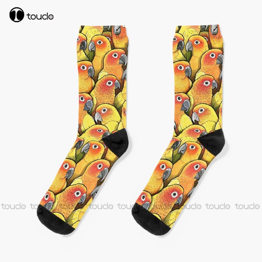 Sun Conures Socks White Soccer Socks Youth Christmas Fashion New Year Gift Unisex Adult Teen