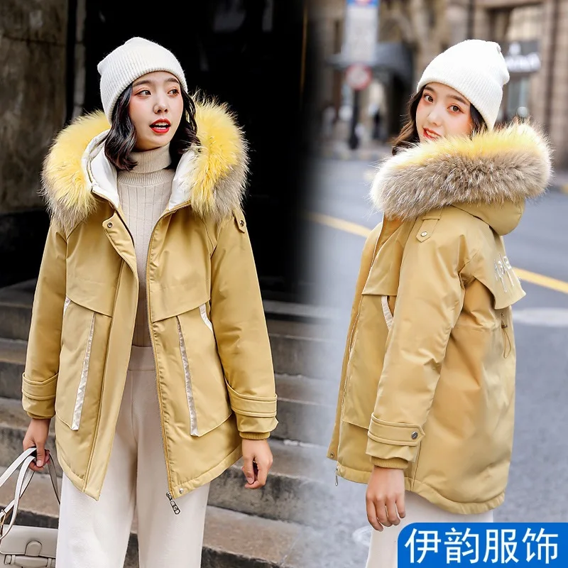

Cotton Clothes Pike WOMEN'S Dress 2019 New Style Coat Korean-style Loose Autumn And Winter Skynet Red Workwear Short Cotton-padd