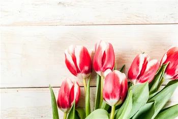 

SHUOZHIKE Vinyl Custom Valentine day Photography Backdrops Prop Floral Rose heart theme Photo Studio Background T191216-10