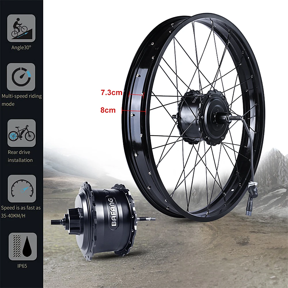 Bafang Fat Ebike 48V 1000W 750W posteriore 20 \