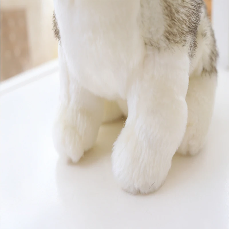 https://ae01.alicdn.com/kf/H03a52b6dea2549fa834982c94e6182f1t/18-23-28cm-Super-Cute-Husky-Puppy-Dogs-Stuffed-Doll-Plush-Toys-Simulation-Husky-Dogs-Kids.jpg