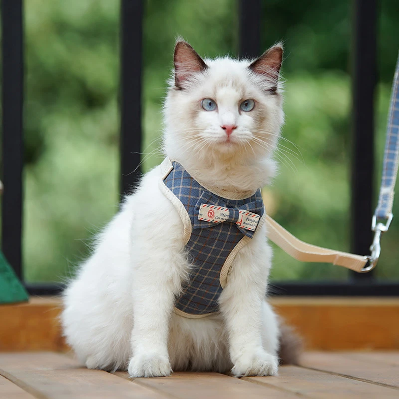 Corda Di Trazione Per Gatti, Corda Da Passeggio Per Gatti, Artefatto Da Passeggio Per Gatti, Corda Per Gatti Con Cravatta Speciale In Stile Gilet, Cat