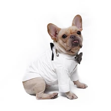 Рубашка для домашних животных, осенняя и зимняя рубашка для собак, теплая куртка для собак, маленькая и средняя собака, борьба с плюшевым шнауцером, товары для домашних животных