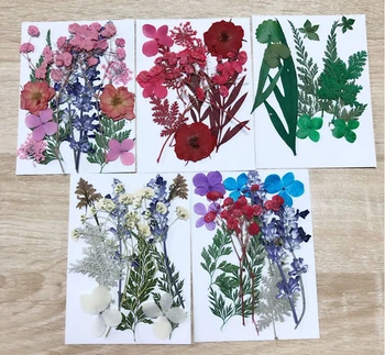 

Dried Flowers for Candles Pressed DIY Preserved Flower Decoration Home Mini Flowers Scarpbooking Flores Handmade Gifts