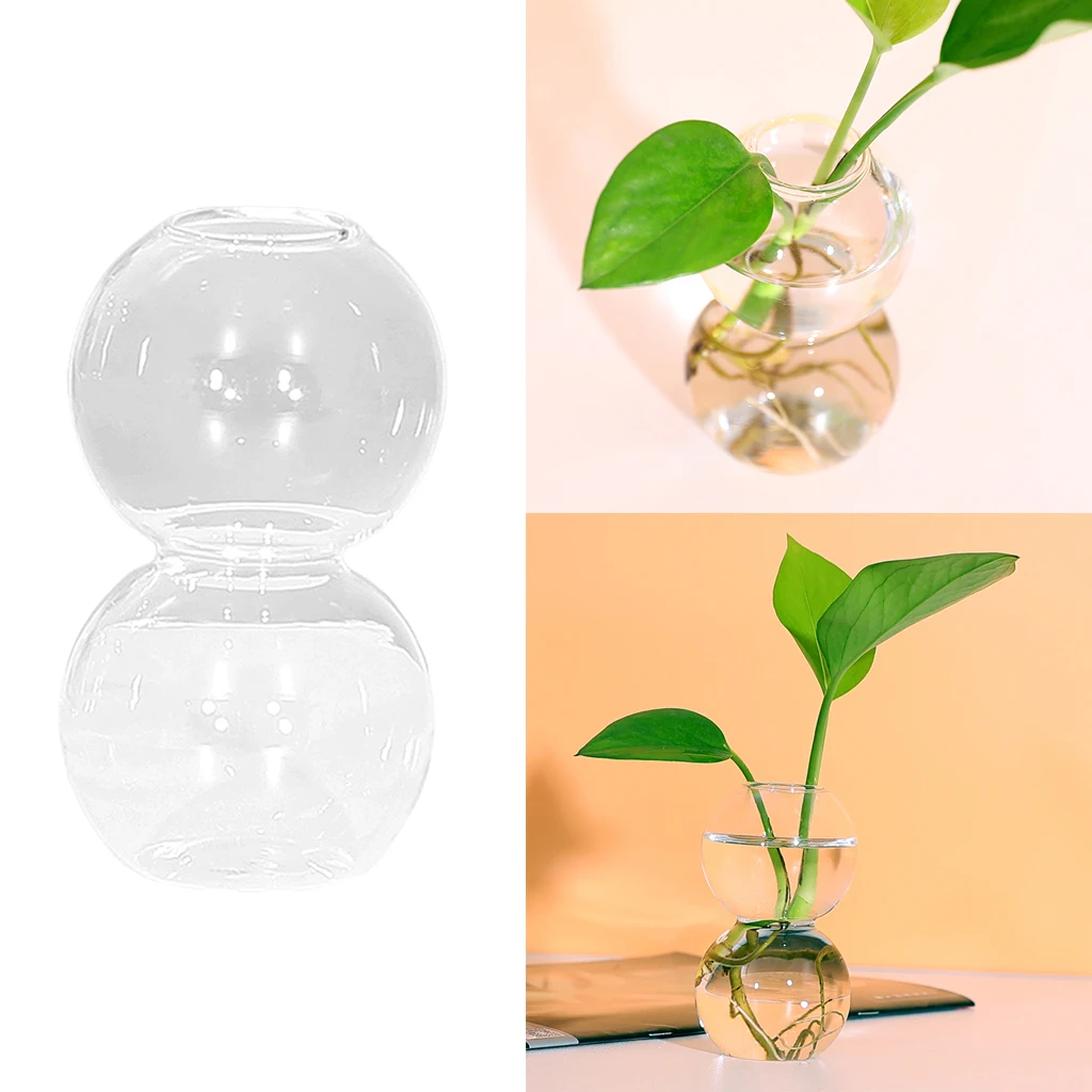 Glass plant terrarium bubble propagation molded for decoration of hydroponic